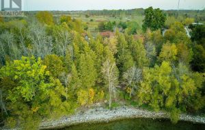 8300 FRONT ROAD