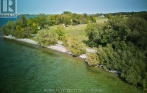 15355 FRONT ROAD