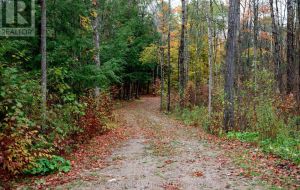1060 NORDIC ROAD