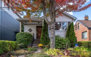 8 GRAHAM AVENUE