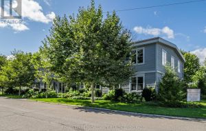 60 MILL STREET