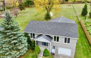 812 PALACE ROAD