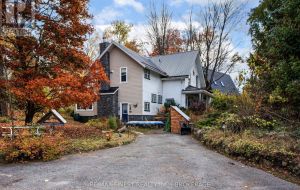 1128 ELIZABETH STREET