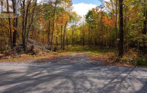 PT LTS 12 & 13 DEVIL LAKE ROAD