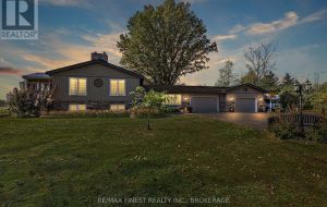 4841 WOLFE SWAMP ROAD