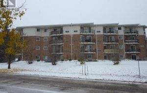 307 - 266 GUTHRIE DRIVE