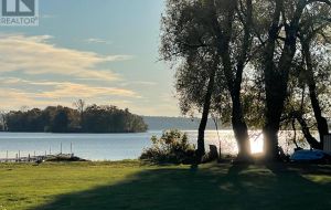 LT 17 PL 1182 SCHENK ST