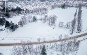 LOT 1 WAGARVILLE ROAD