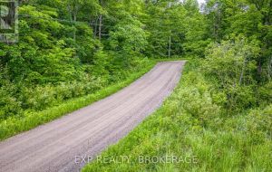 PT LT 14-15 CON 7 ECHO LAKE ROAD