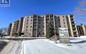 507 - 334 QUEEN MARY ROAD