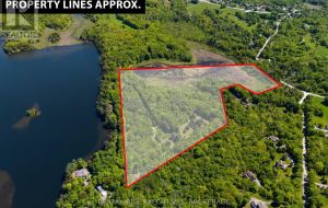 PT 2 SPRING MILL LANE