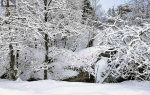 384 BIG CROSBY LAKE ROAD