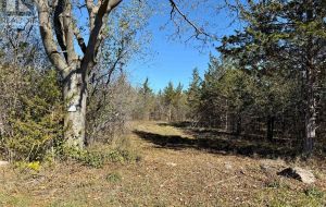 LOT 3 GALBRAITH GROVE ROAD