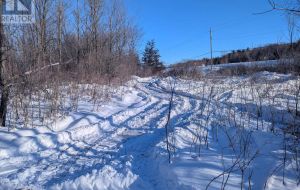 LOT 34 LEO LAKE ROAD