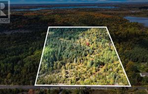 PT LT 40 CUTLER ROAD