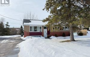 1429 AVONDALE CRESCENT