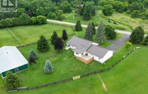 321 ESCOTT/ROCKPORT ROAD