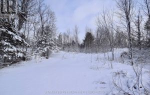 LOT 27 BRADSHAW ROAD