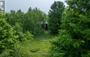 384 BIG CROSBY LAKE ROAD