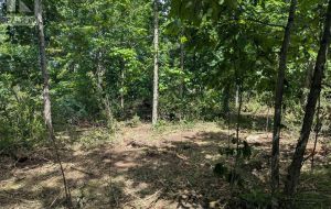 2621 4TH CONCESSION ROAD