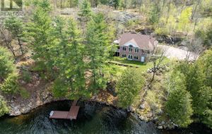 1133 SASSY TREE LANE