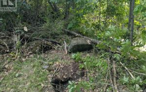 2622 4TH CONCESSION ROAD