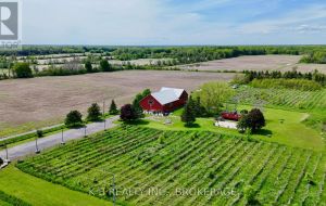 9261 LOYALIST PARKWAY