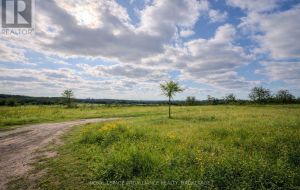 PT LT 37 MCGARVEY ROAD