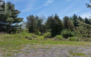 LOT 11 WINTERBERRY LANE