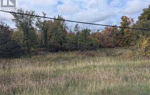 LOT 34 LEO LAKE ROAD