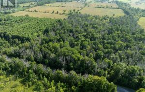 PT LT 6 SUNNYSIDE ROAD