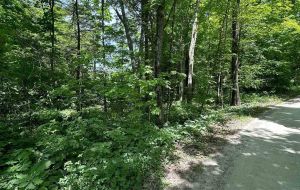 0 MAPLE GROVE LANE E