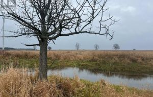 LOT 17 SOUTH SHORE ROAD