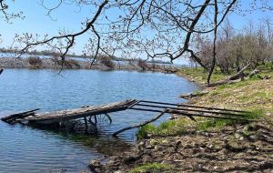 PT LT 8 NINE MILE POINT ROAD