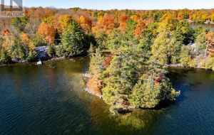 411 INDIAN LAKE ROAD