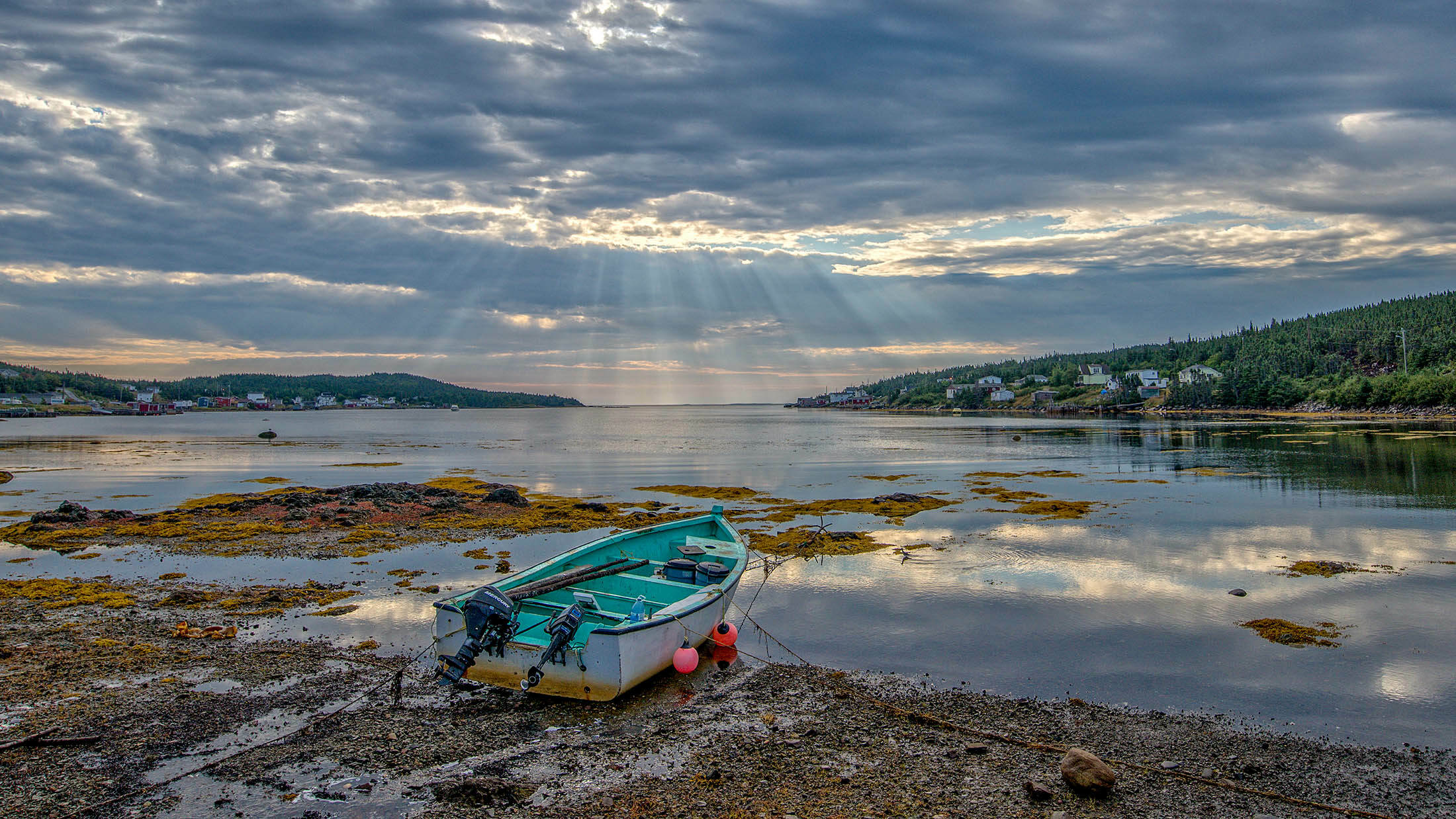 Why Are There No Snakes on the Island of Newfoundland?