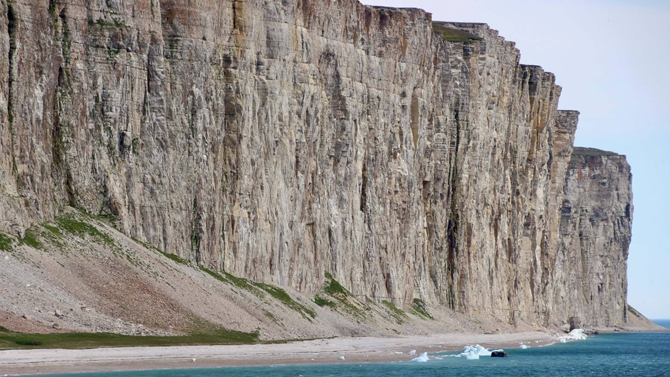 A Bear Necessity: How an Arctic Expedition Warmed My Soul