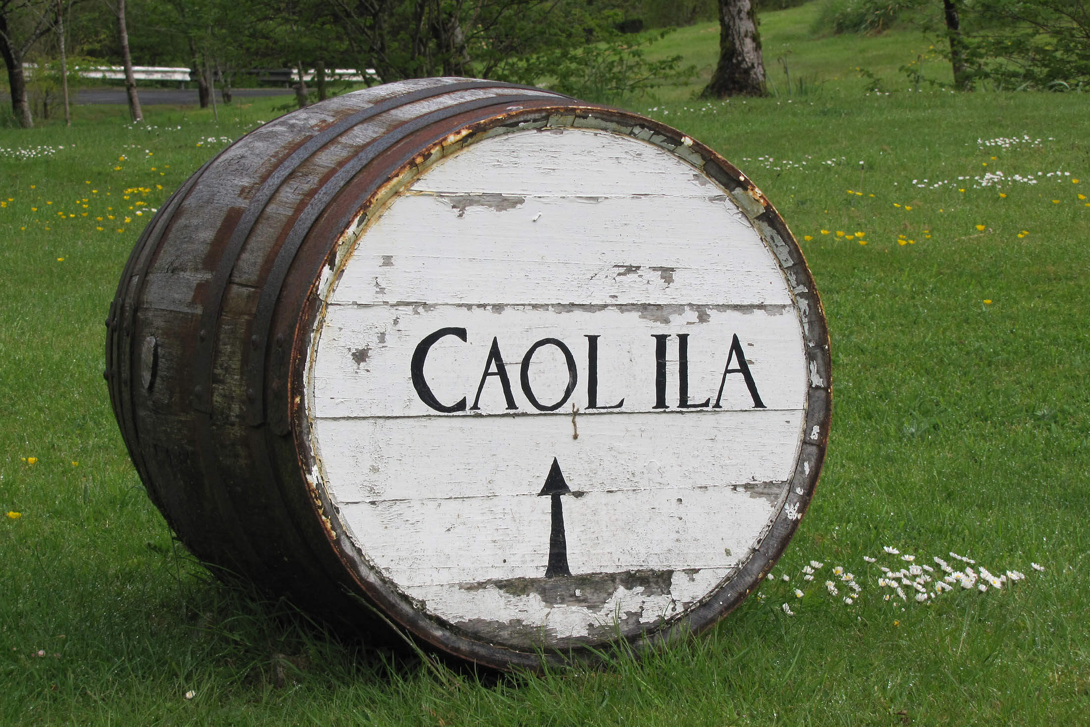 Peaty Seaweediness: A Non-Collector’s Account of Single Malt Scotches