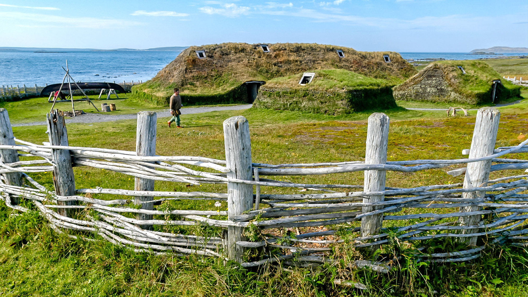 The Norse in Newfoundland