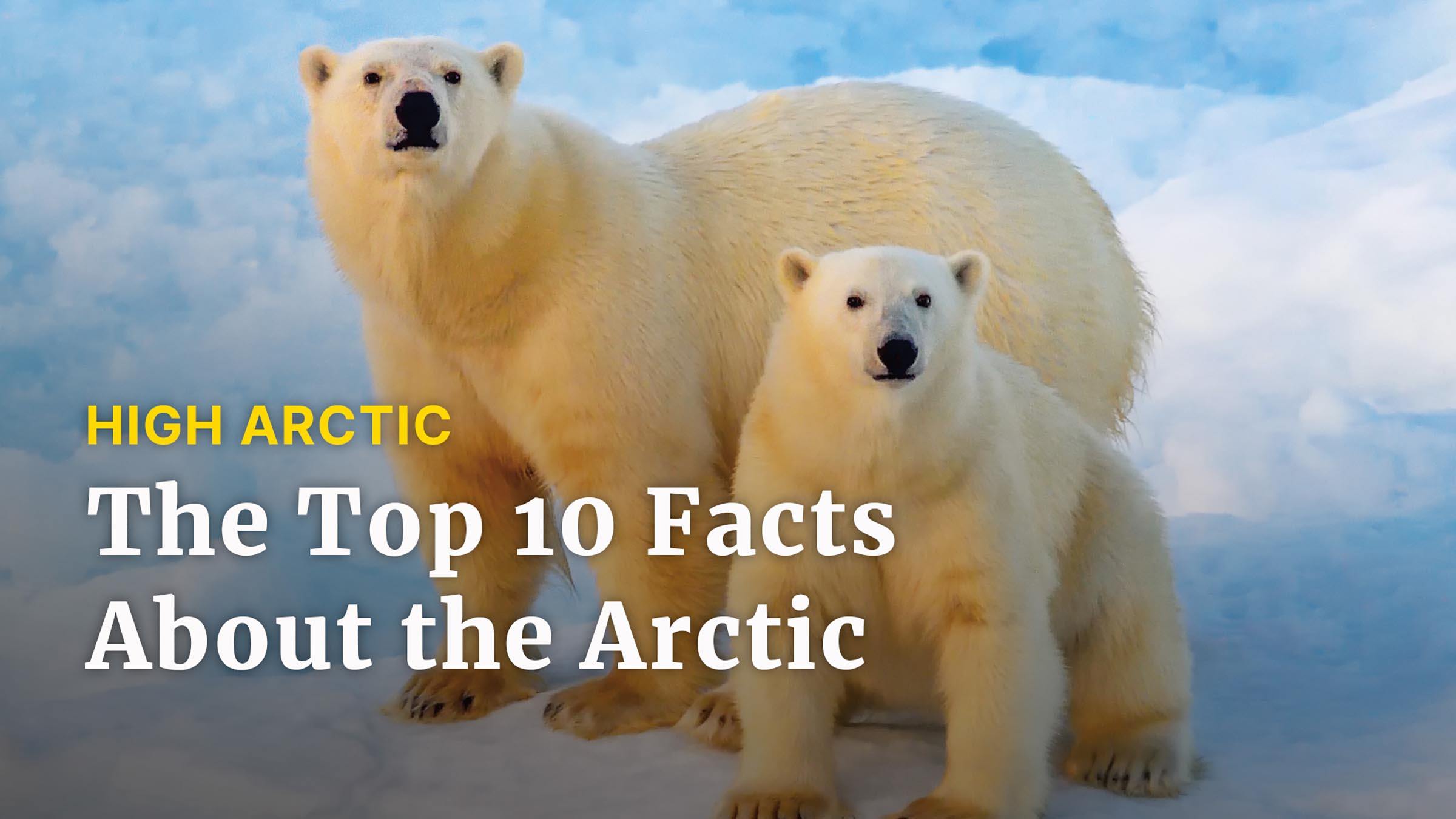 Top of the World: Ten Facts About the Arctic