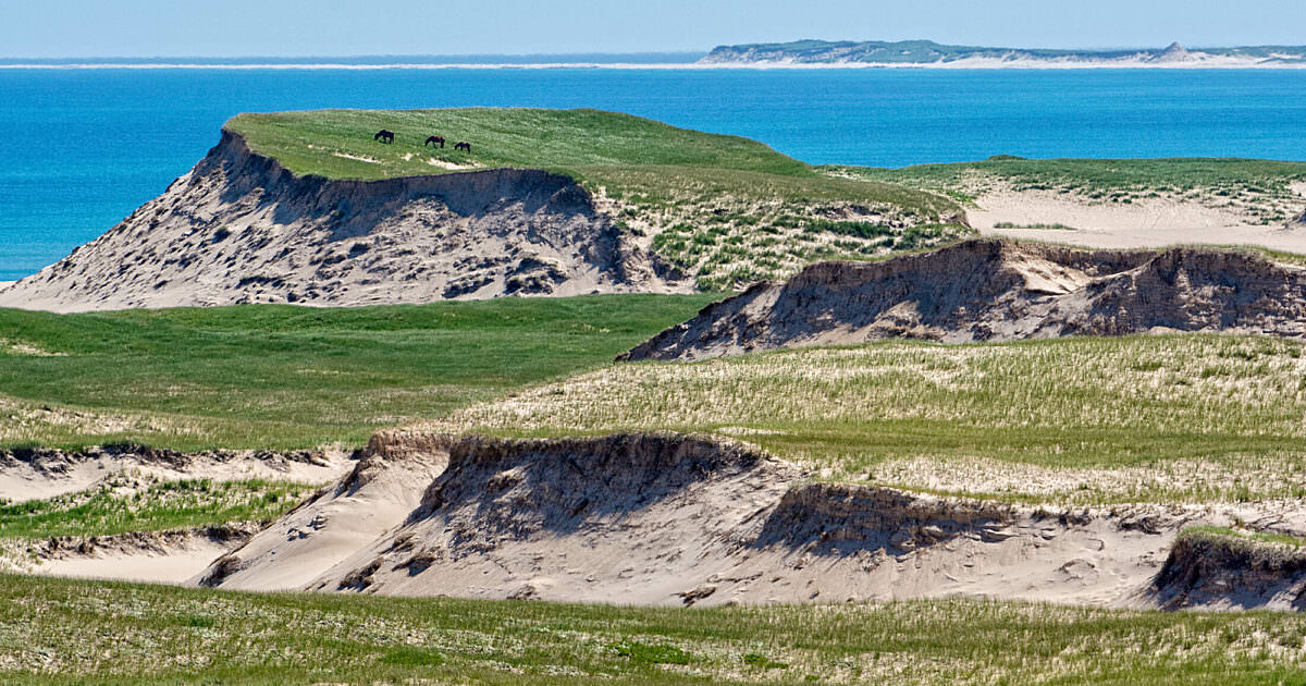 trip to sable island