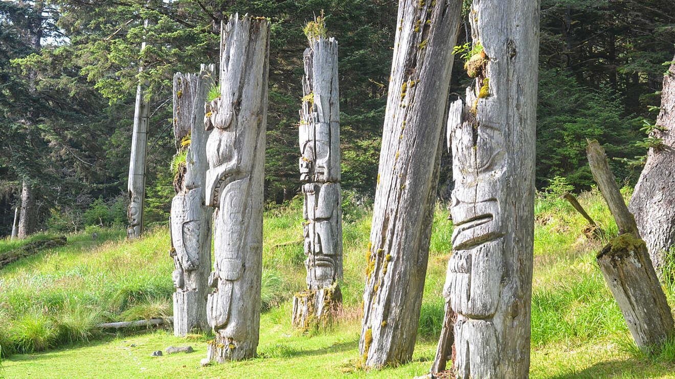 Test your Knowledge on the “Marine Mammals of Haida Gwaii…Oh My