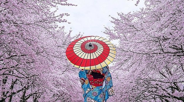 Promo 01 japan