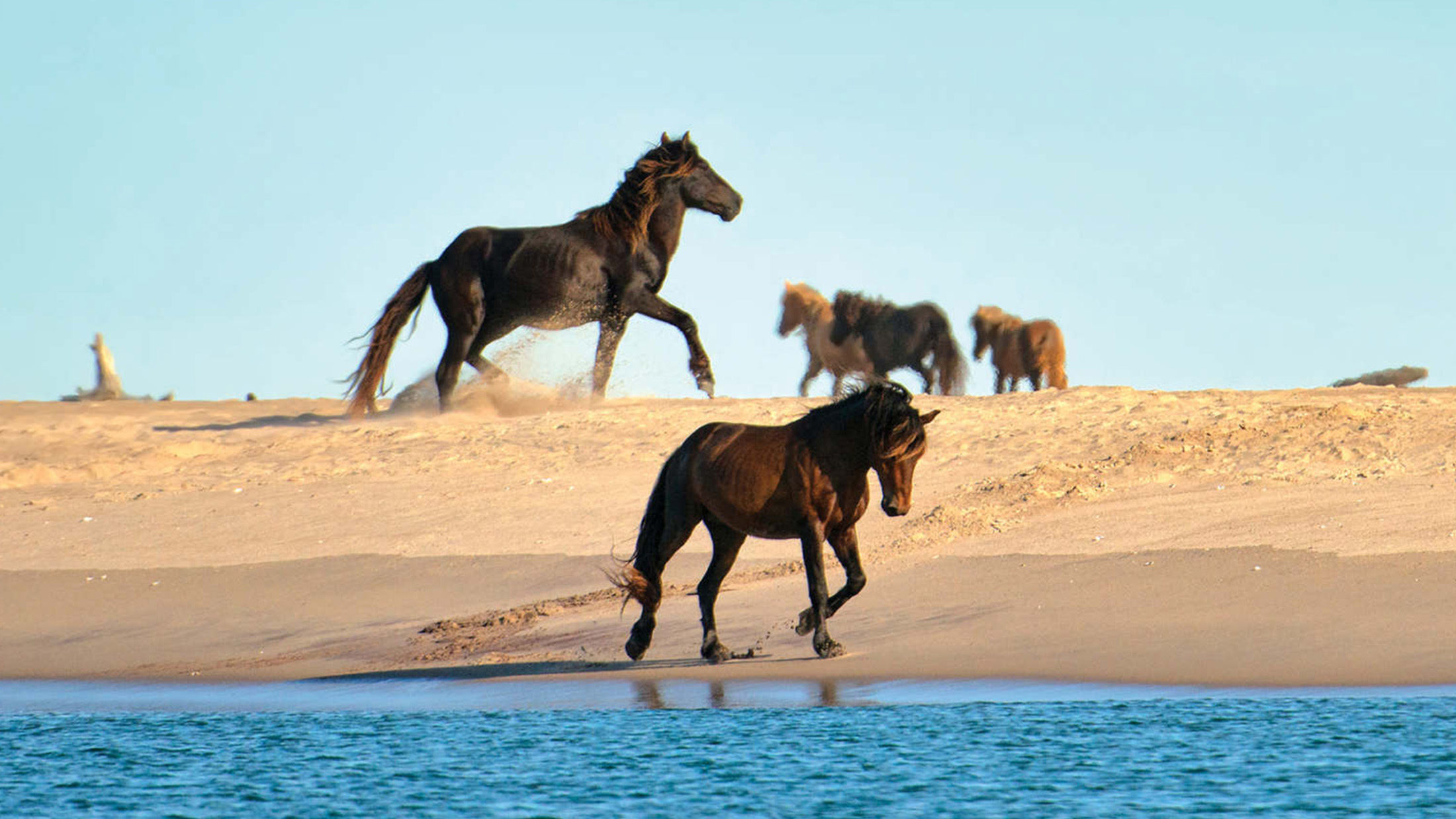 The Top Ten Experiences on Atlantic Island Odyssey