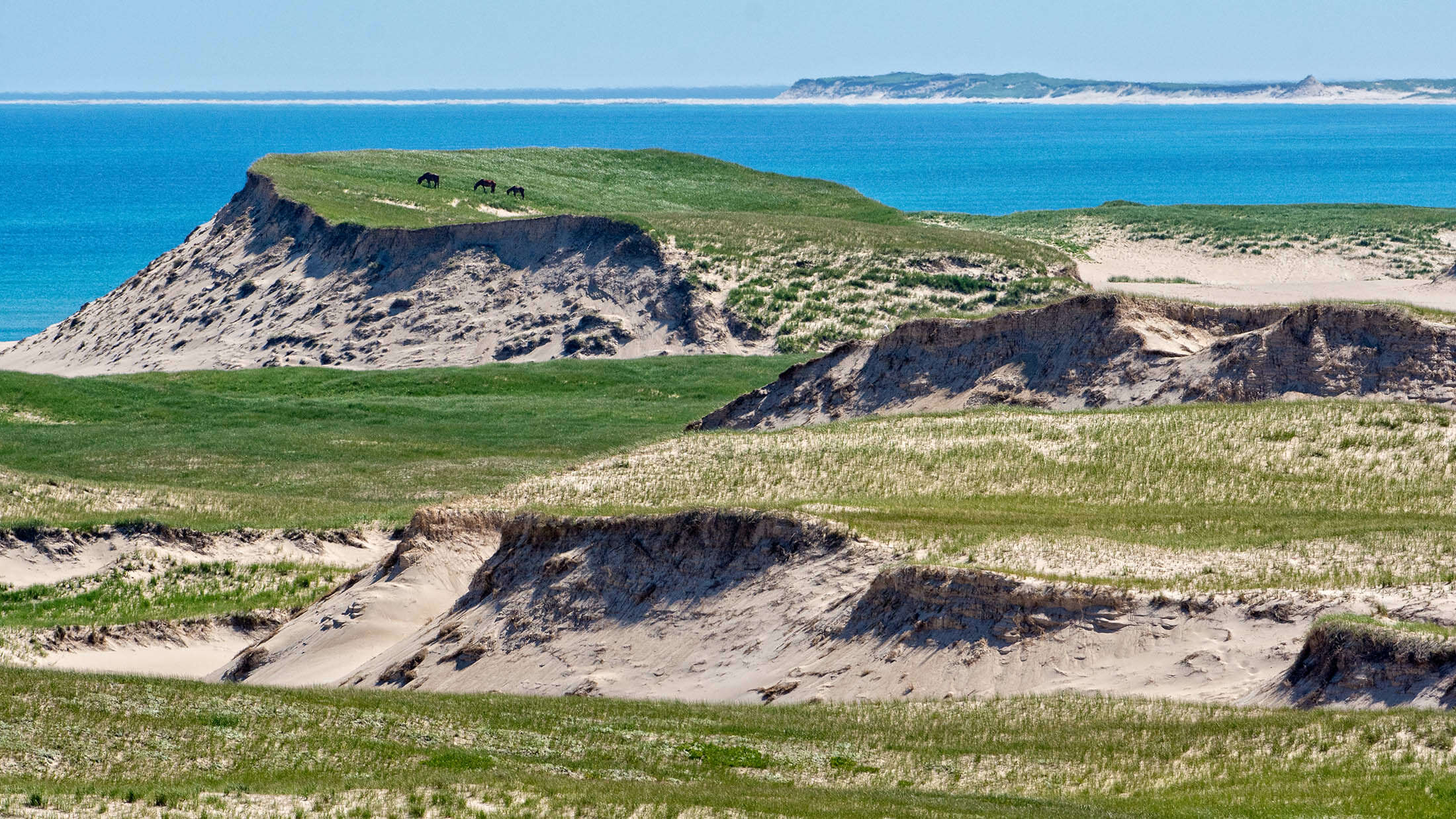 A Smile in the Sea: Sable Island