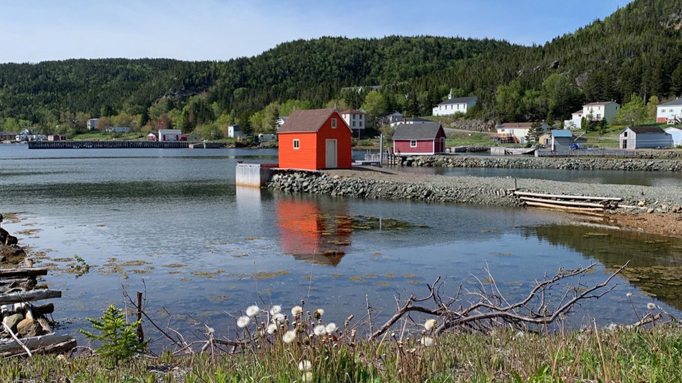 Best Field Trip Ever: Newfoundland Circumnavigation
