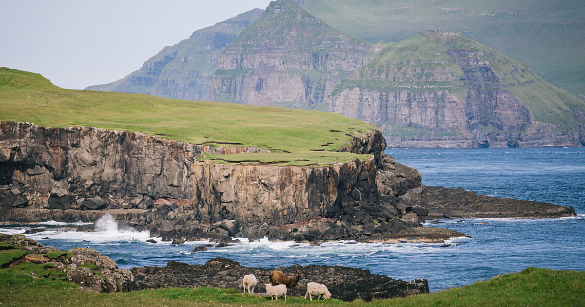 Six Things You Might Not Know About the Faroe Islands | Adventure Canada