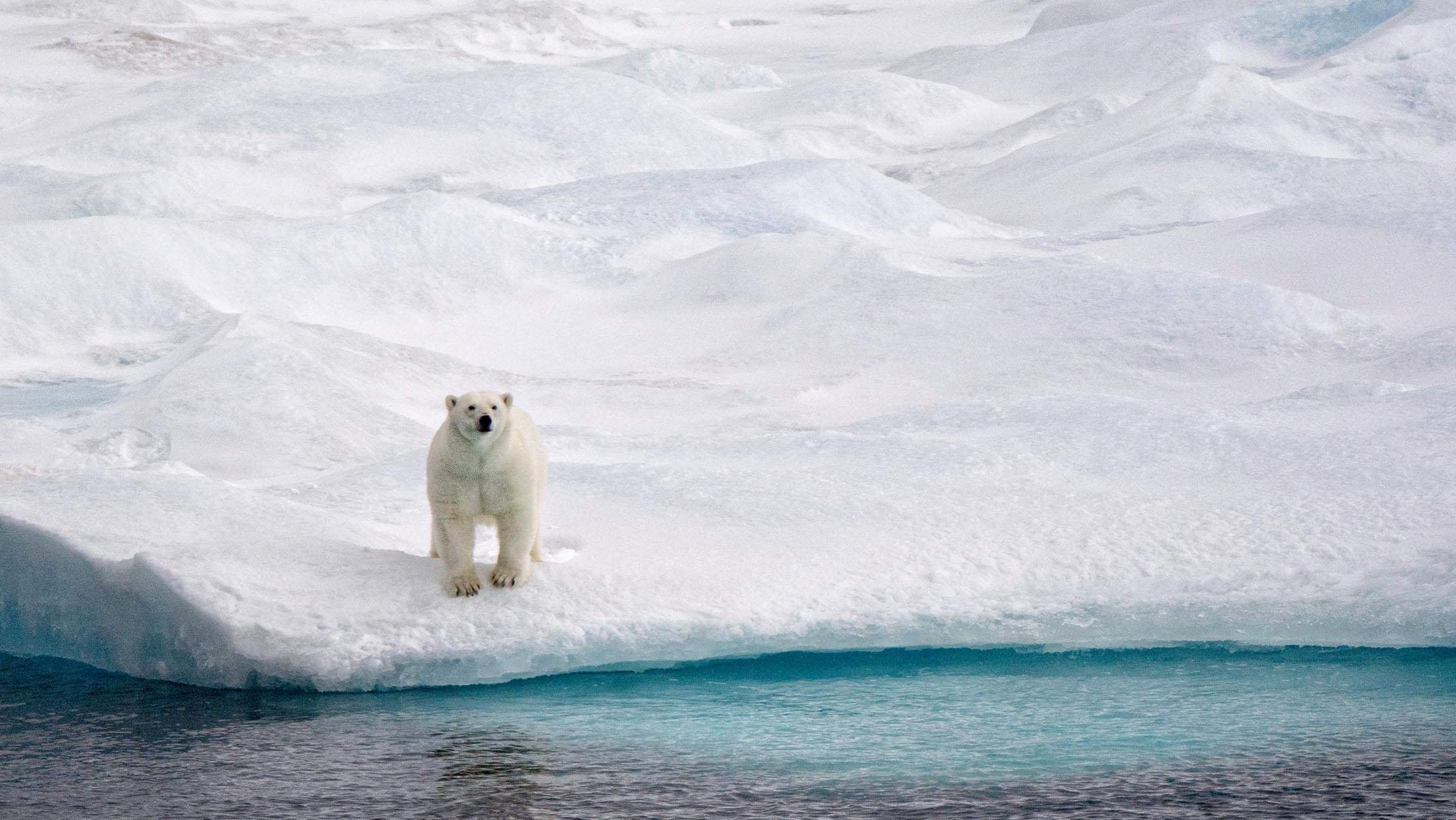 Nine Fascinating Points of Interest on Into the Northwest Passage