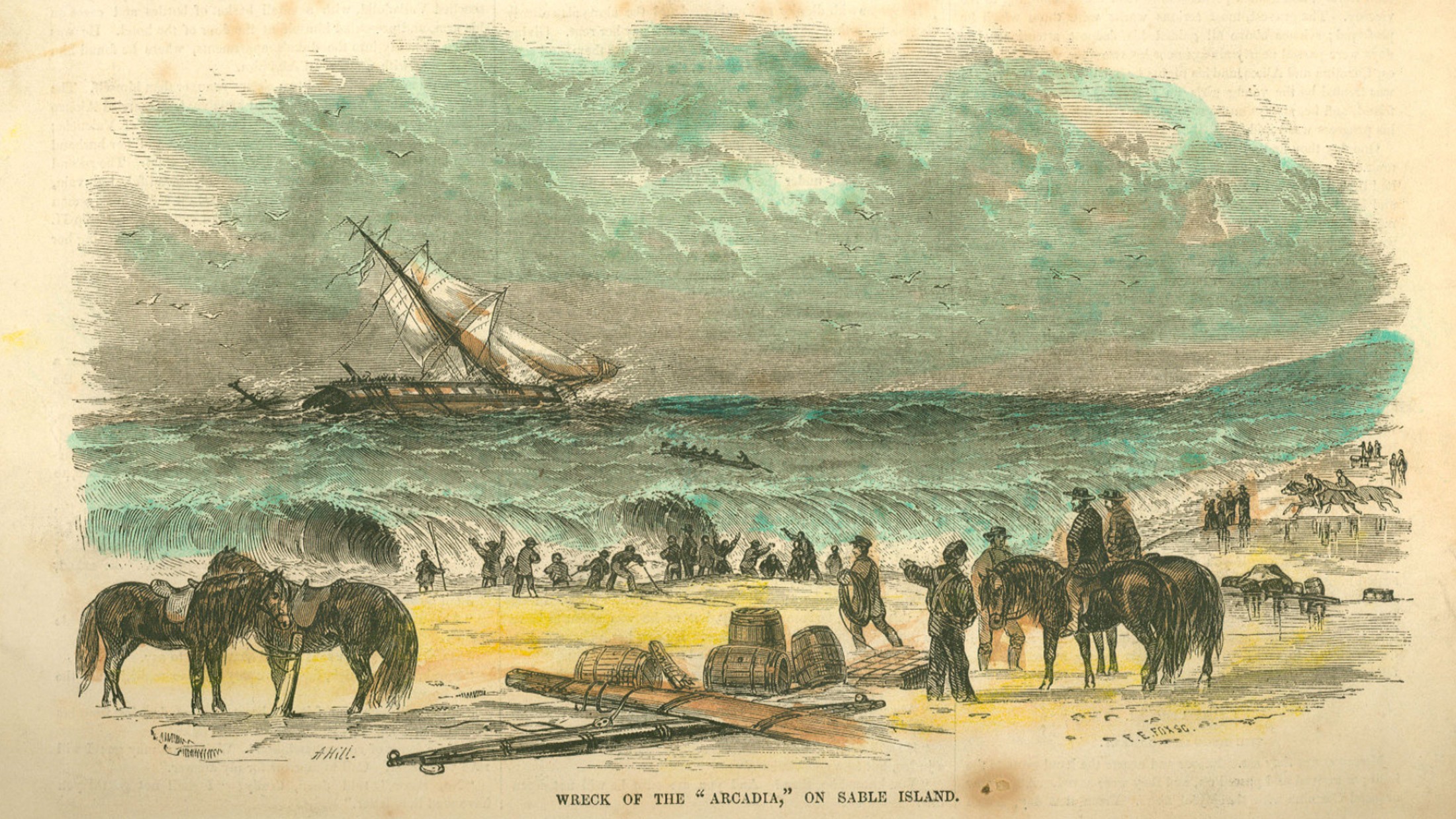Out of the Fog: A Rescue on Sable Island
