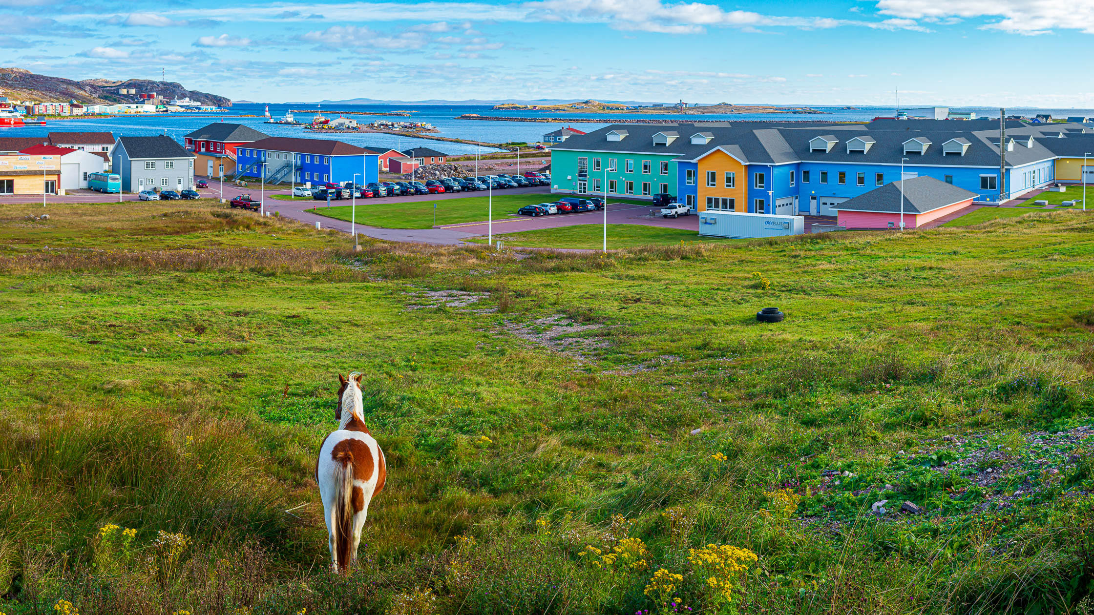 My Favourite Things to Do in Saint-Pierre
